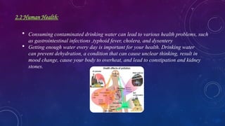2.2 Human Health:
 Consuming contaminated drinking water can lead to various health problems, such
as gastrointestinal infections ,typhoid fever, cholera, and dysentery
 Getting enough water every day is important for your health. Drinking water
can prevent dehydration, a condition that can cause unclear thinking, result in
mood change, cause your body to overheat, and lead to constipation and kidney
stones.
 