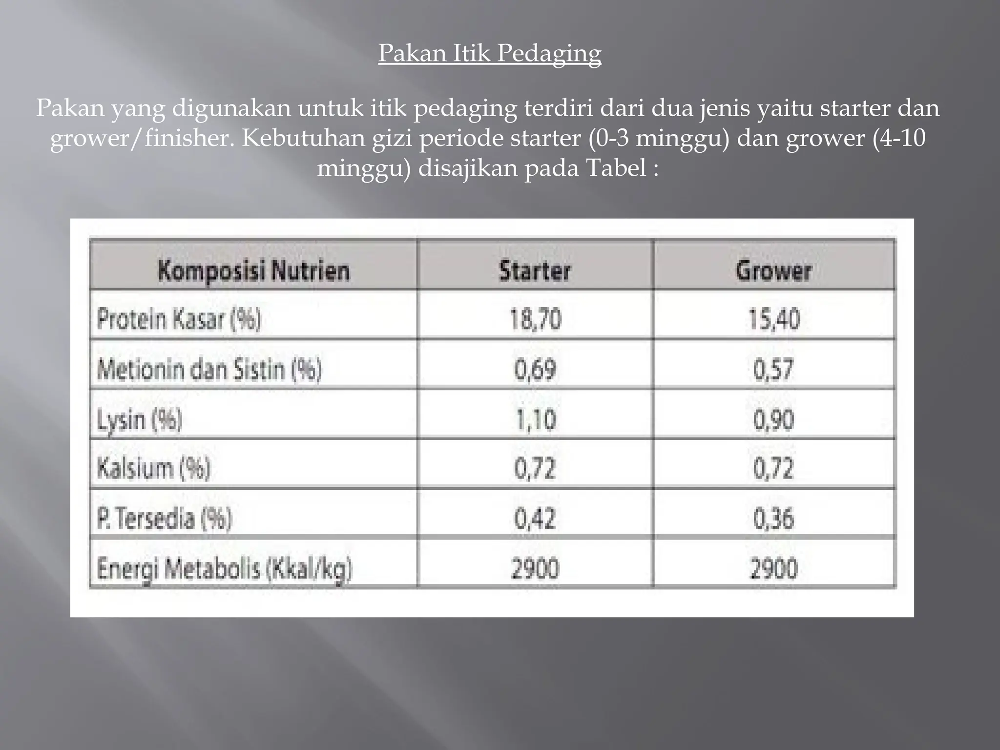 Pedaging Presentation itik pedaging dan itik petelur | PPTX