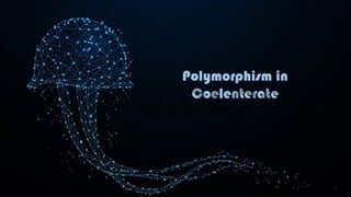 Polymorphism in
Coelenterate
 