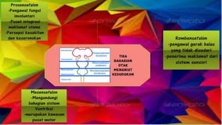 Kemahiran Berfikir