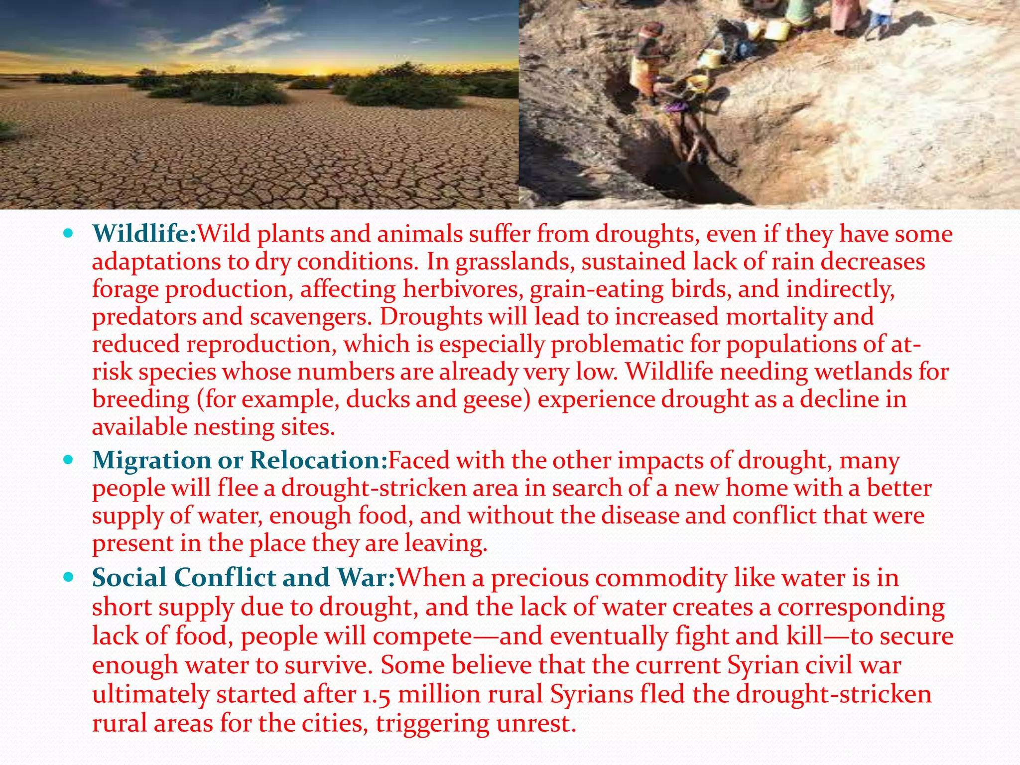 Wildlife:Wild plants and animals suffer from droughts, even if they have some
adaptations to dry conditions. In grasslands, sustained lack of rain decreases
forage production, affecting herbivores, grain-eating birds, and indirectly,
predators and scavengers. Droughts will lead to increased mortality and
reduced reproduction, which is especially problematic for populations of at-
risk species whose numbers are already very low. Wildlife needing wetlands for
breeding (for example, ducks and geese) experience drought as a decline in
available nesting sites.
 Migration or Relocation:Faced with the other impacts of drought, many
people will flee a drought-stricken area in search of a new home with a better
supply of water, enough food, and without the disease and conflict that were
present in the place they are leaving.
 Social Conflict and War:When a precious commodity like water is in
short supply due to drought, and the lack of water creates a corresponding
lack of food, people will compete—and eventually fight and kill—to secure
enough water to survive. Some believe that the current Syrian civil war
ultimately started after 1.5 million rural Syrians fled the drought-stricken
rural areas for the cities, triggering unrest.
 
