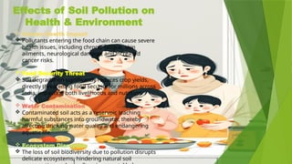 Soli Disruption Soil Pollution: Understanding Causes, Effects, and Sustainable ...