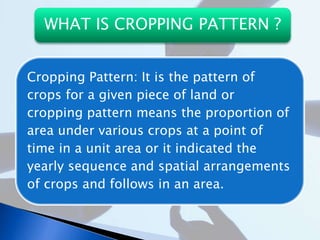AREA -SPECIFIC CROPPING SYSTEMS OF CHHATISGARH ,INDIA IN RELATION TO ...