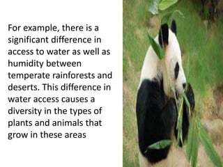 For example, there is a
significant difference in
access to water as well as
humidity between
temperate rainforests and
deserts. This difference in
water access causes a
diversity in the types of
plants and animals that
grow in these areas
 