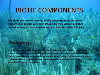 The Biotic enviroment involves all the living organisms that come
regularly into contact with each other, how they interact and their
mutual influences. An ecosystem consists basically of the following:
Producers
Producers are organisms which are able to manufacture organic compounds
from inorganic substances from their enviroment. Green plants are able to do
this by means of photosynthesis, where the sun provides the necessary energy.
Therefore these green plants are the autotrophic organisms or primary
producers in most ecosystems.
 