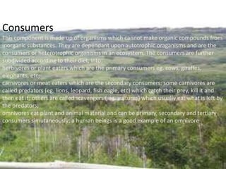 Consumers
This component is made up of organisms which cannot make organic compounds from
inorganic substances. They are dependant upon autotrophic oraganisms and are the
consumers or heterotrophic organisms in an ecosystem. The consumers are further
subdivided according to their diet, into:
herbivores or plant eaters which are the primary consumers eg. cows, giraffes,
elephants, etc;
carnivores or meat eaters which are the secondary consumers; some carnivores are
called predators (eg. lions, leopard, fish eagle, etc) which catch their prey, kill it and
then eat it; others are called scavengers ( eg. vultures) which usually eat what is left by
the predators;
omnivores eat plant and animal material and can be primary, secondary and tertiary
consumers simutaneously; a human beings is a good example of an omnivore.
 