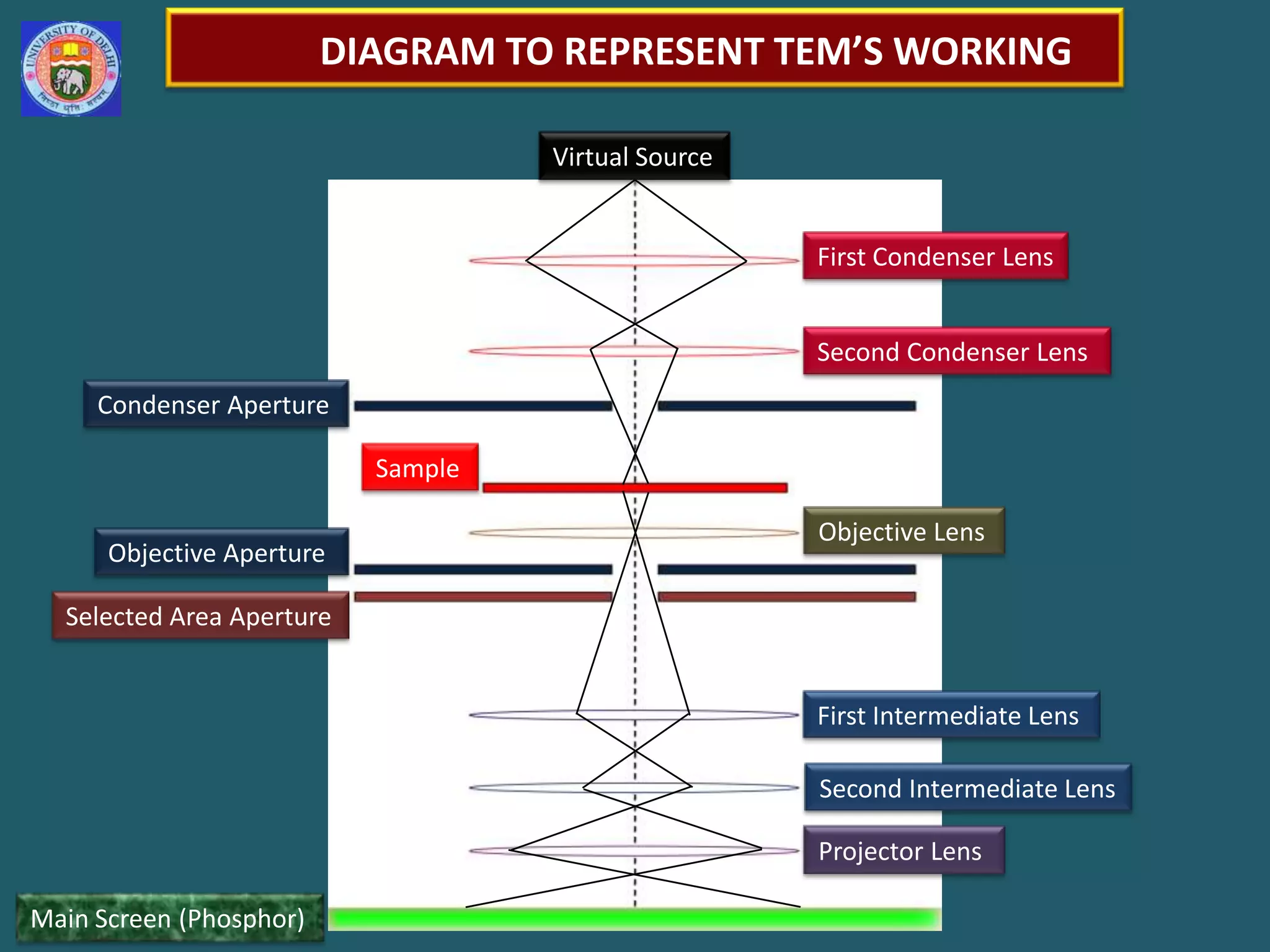 DIAGRAM TO REPRESENT TEM’S WORKINGVirtual SourceFirst Condenser LensSecond Condenser LensCondenser Aperture SampleObjective LensObjective Aperture Selected Area Aperture First Intermediate LensSecond Intermediate LensProjector LensMain Screen (Phosphor)