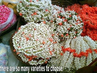 there are so many varieties to choose. 