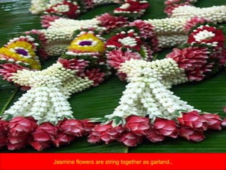 Jasmine flowers are string together as garland.. 