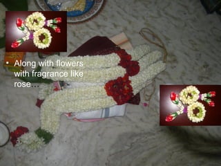 Along with flowers with fragrance like rose … 