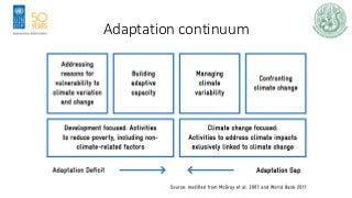 Adaptation continuum
 