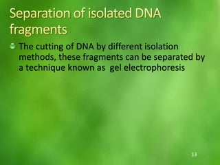The cutting of DNA by different isolation
methods, these fragments can be separated by
a technique known as gel electrophoresis
13
 