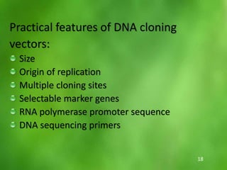 Practical features of DNA cloning
vectors:
Size
Origin of replication
Multiple cloning sites
Selectable marker genes
RNA polymerase promoter sequence
DNA sequencing primers
18
 