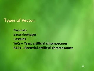 Types of Vector:
Plasmids
bacteriophages
Cosmids
YACs – Yeast artificial chromosomes
BACs – Bacterial artificial chromosomes
19
 