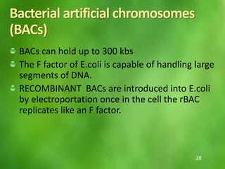 Bacterial artificial chromosomes
(BACs)
BACs can hold up to 300 kbs
The F factor of E.coli is capable of handling large
segments of DNA.
RECOMBINANT BACs are introduced into E.coli
by electroportation once in the cell the rBAC
replicates like an F factor.
28
 