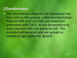 Transformation
The recombinant plasmids are introduced into
host cells by the process called transformation .
Plasmid DNA and host cells are mixed and
pretreated with CaCl2 at low temperature to
enter plasmid DNA into bacterial cell . The
transformed bacterial cells are spread on
surface of agar plates for growth.
37
 