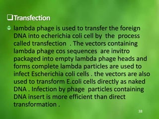 Transfection
lambda phage is used to transfer the foreign
DNA into echerichia coli cell by the process
called transfection . The vectors containing
lambda phage cos sequences are invitro
packaged into empty lambda phage heads and
forms complete lambda particles are used to
infect Escherichia coli cells . the vectors are also
used to transform E.coli cells directly as naked
DNA . Infection by phage particles containing
DNA insert is more efficient than direct
transformation .
38
 
