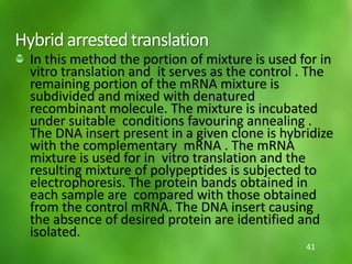 Hybridarrestedtranslation
In this method the portion of mixture is used for in
vitro translation and it serves as the control . The
remaining portion of the mRNA mixture is
subdivided and mixed with denatured
recombinant molecule. The mixture is incubated
under suitable conditions favouring annealing .
The DNA insert present in a given clone is hybridize
with the complementary mRNA . The mRNA
mixture is used for in vitro translation and the
resulting mixture of polypeptides is subjected to
electrophoresis. The protein bands obtained in
each sample are compared with those obtained
from the control mRNA. The DNA insert causing
the absence of desired protein are identified and
isolated.
41
 
