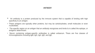 Presentation1 monoclonal and polyclonal antibodies | PPTX