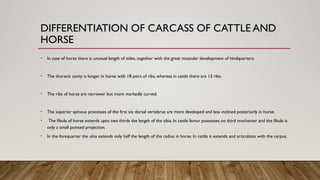 Comprehensive Guide to Differentiating Various Types of Meat for Food ...