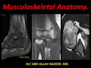 Musculoskeletal Anatomy.
Dr/ ABD ALLAH NAZEER. MD.
 