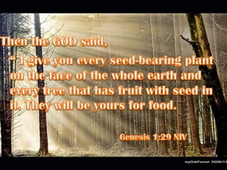 Then the GOD said, “ I give you every seed-bearing plant on the face of the whole earth and every tree that has fruit with seed in  it. They will be yours for food. Genesis 1:29 NIV 