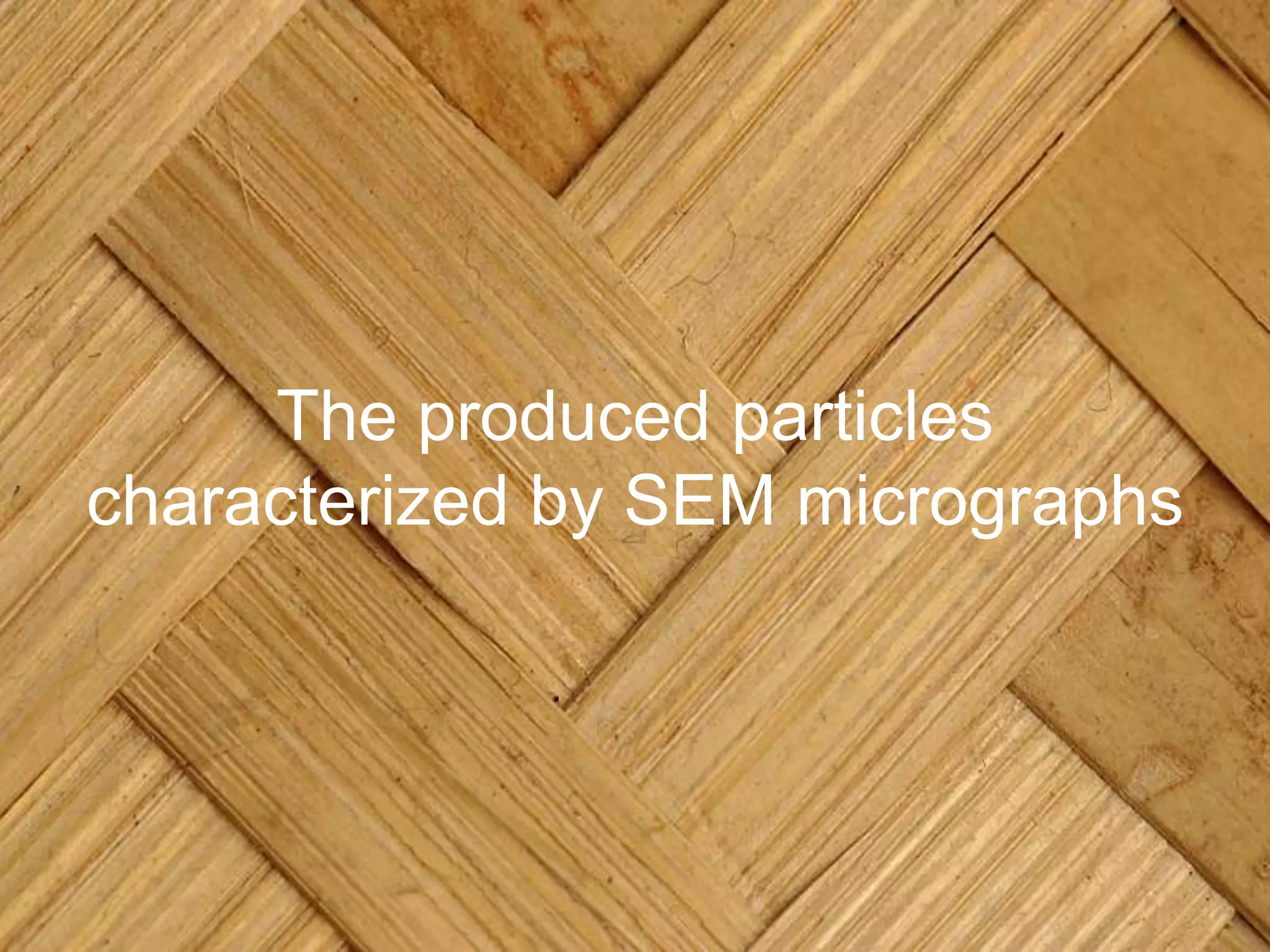 The produced particles
characterized by SEM micrographs
 