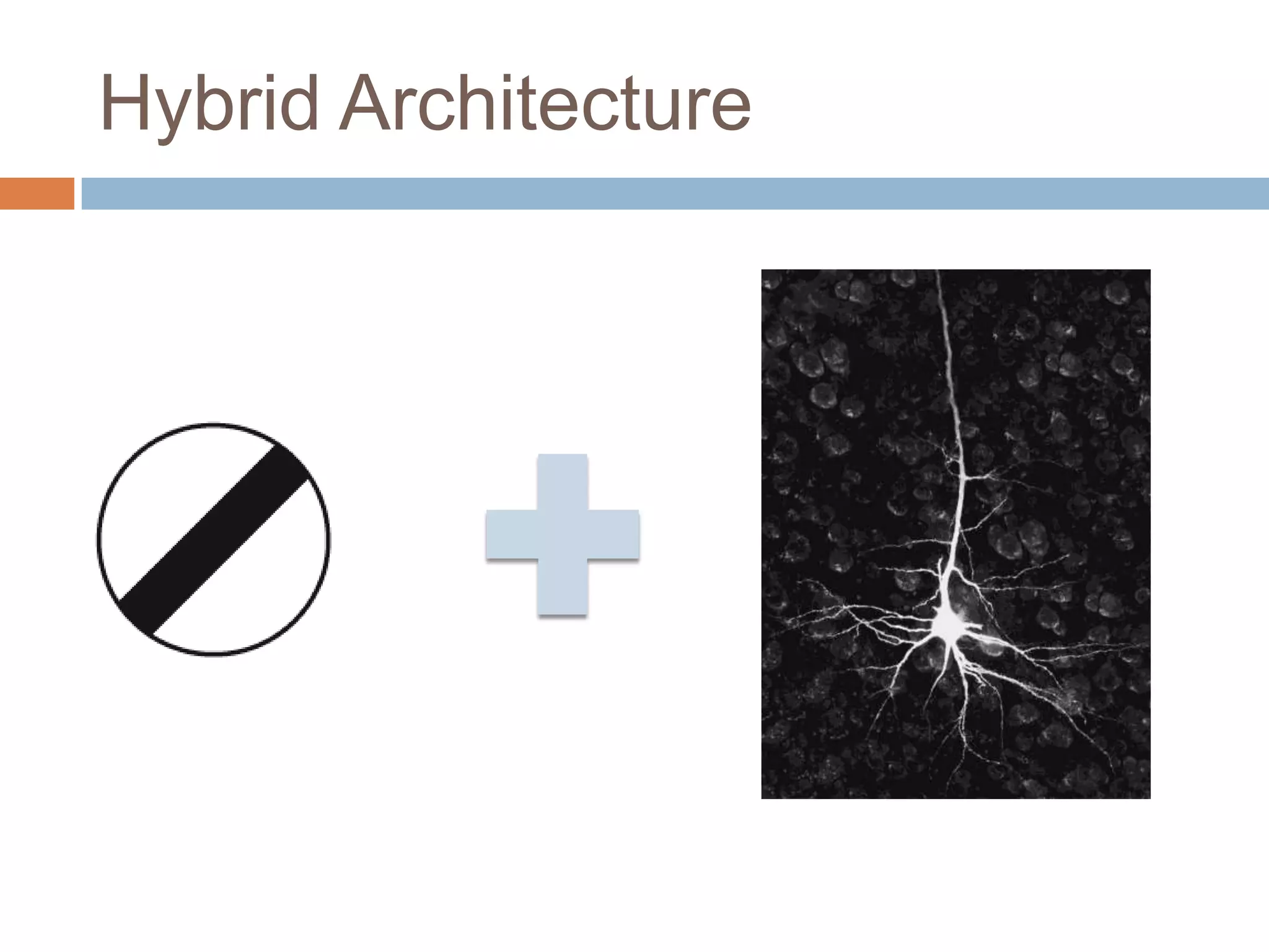 Hybrid Architecture