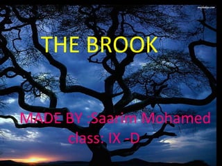 THE BROOK
MADE BY :Saarim Mohamed
class: IX -D
 
