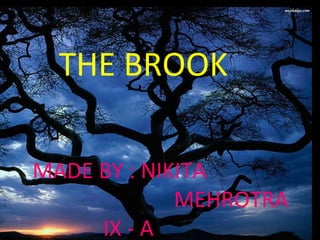 THE BROOK
MADE BY : NIKITA
MEHROTRA
IX - A
 