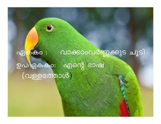 GIIw : hm¡mwhÀ®¡pS NqSn 
DD]]GGIIIIww:: FFssââ ``mmjj 
(hÅt¯mÄ) 
 