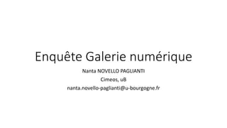 Enquête Galerie numérique
Nanta NOVELLO PAGLIANTI
Cimeos, uB
nanta.novello-paglianti@u-bourgogne.fr
 