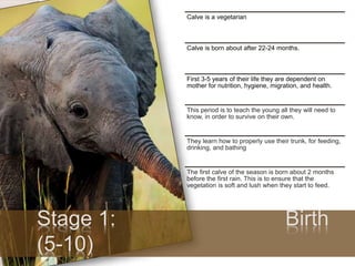 Calve is a vegetarian
Calve is born about after 22-24 months.
First 3-5 years of their life they are dependent on
mother f...