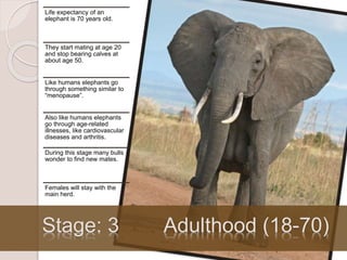 Life expectancy of an
elephant is 70 years old.
They start mating at age 20
and stop bearing calves at
about age 50.
Like ...