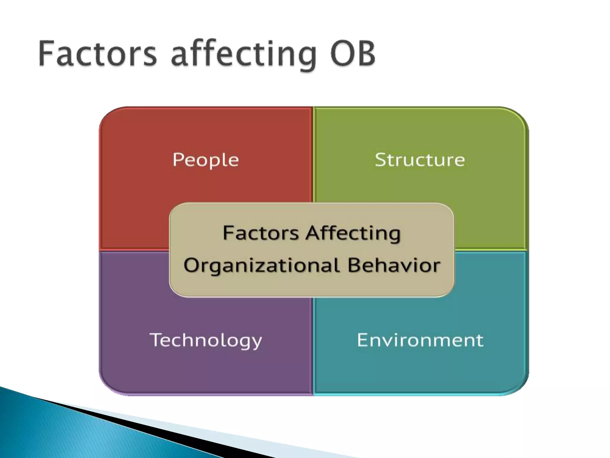 foundation and Background of Organizational Behaviour