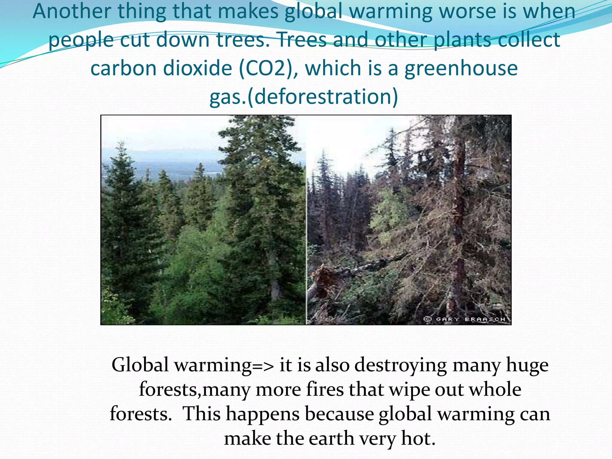 One thing that causes global warming is electrical pollution, fossil fuels are burned to create electricity.  Fossil fuels are made of dead plants and animals. Many pollutants are sent into the air when fossil fuels are burned.  Some of these chemicals are called greenhouse gasses.The pollution that causes global warming is linked to acid rain. => Acid raingradually destroys almost everything it touches