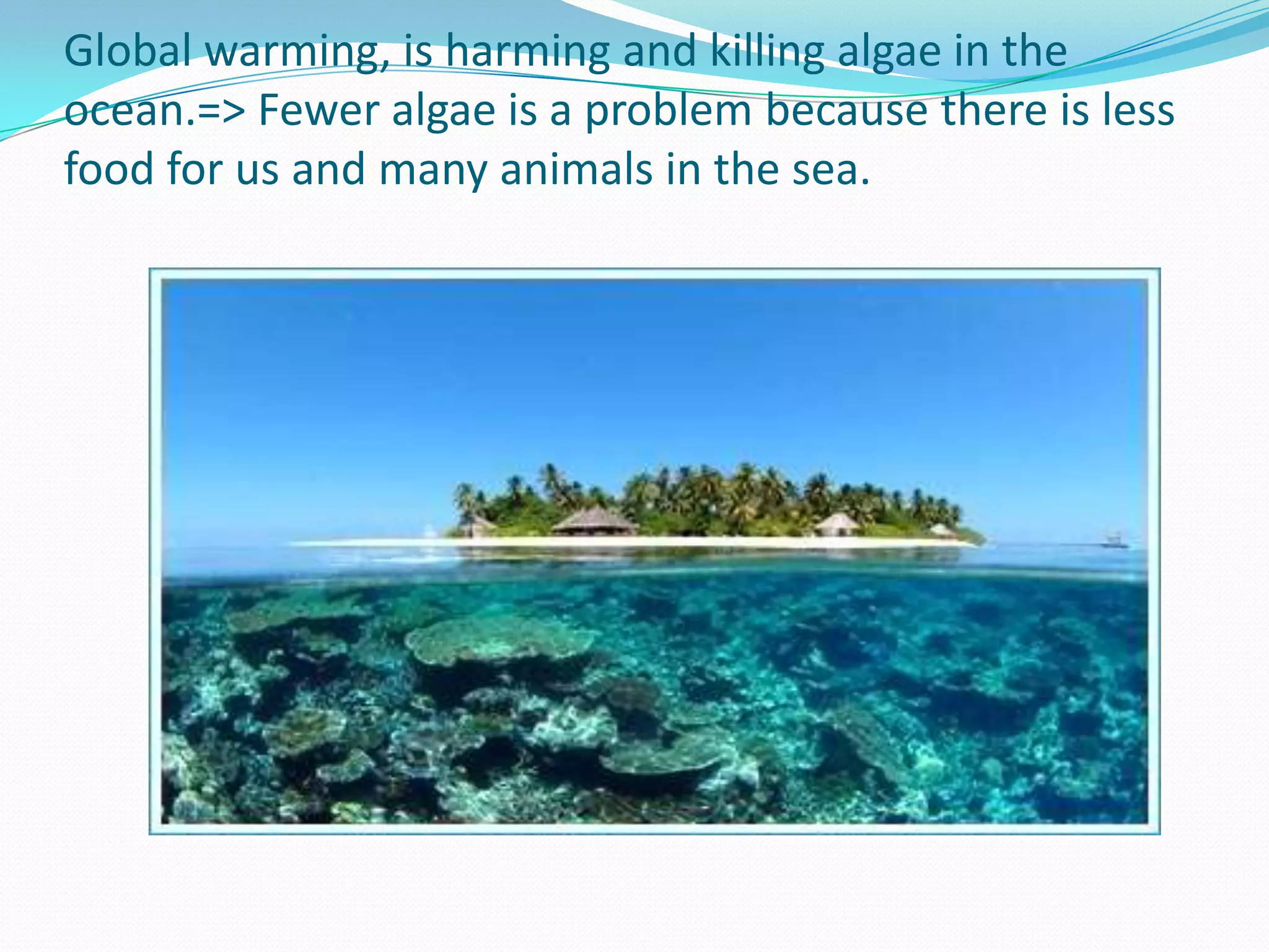 What is global warming doing to the environment?Makes the sea rise : the water covers many low land islands, the plants and causes some of them to die so, the animals lose a source of food, along with their habitat,but people lose two sources of food, plant food and animal food 