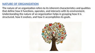 Presentation1 ORGANIZATION.pptx principles,objectives,theories and ...