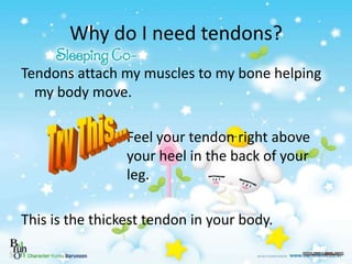 Why do I need tendons?
Tendons attach my muscles to my bone helping
my body move.
Feel your tendon right above
your heel i...