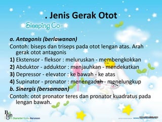 Presentation1 otot upload | PPT