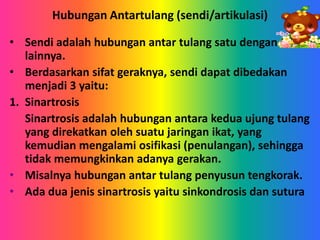 Hubungan Antartulang (sendi/artikulasi)
• Sendi adalah hubungan antar tulang satu dengan
lainnya.
• Berdasarkan sifat gera...