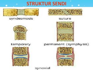 STRUKTUR SENDI
 