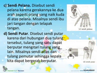 c) Sendi Pelana. Disebut sendi
pelana karena gerakannya ke dua
arah seperti orang yang naik kuda
di atas pelana. Misalnya ...