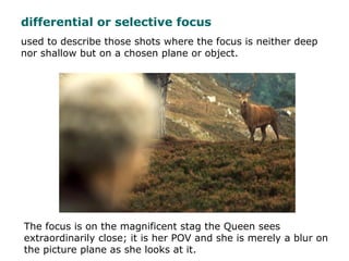 used to describe those shots where the focus is neither deep
nor shallow but on a chosen plane or object.
The focus is on ...