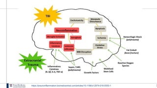 2
https://jneuroinflammation.biomedcentral.com/articles/10.1186/s12974-016-0555-1
 