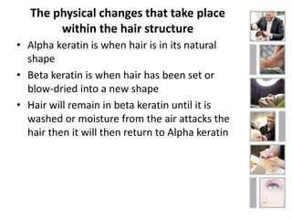 The physical changes that take place 
within the hair structure 
• Alpha keratin is when hair is in its natural 
shape 
• Beta keratin is when hair has been set or 
blow-dried into a new shape 
• Hair will remain in beta keratin until it is 
washed or moisture from the air attacks the 
hair then it will then return to Alpha keratin 
 
