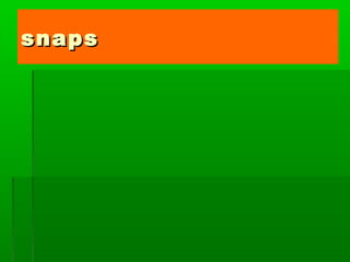 snapssnaps
 