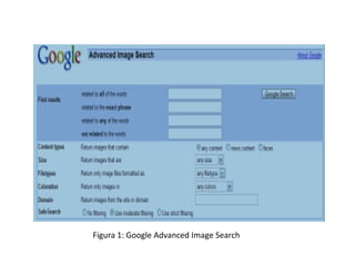 Figura 1: Google Advanced Image Search 
