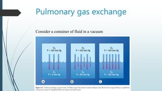 Pulmonary gas exchange
Consider a container of fluid in a vacuum
 