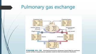 Pulmonary gas exchange
 